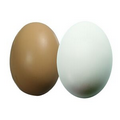 Brown Or White Egg Squeezie